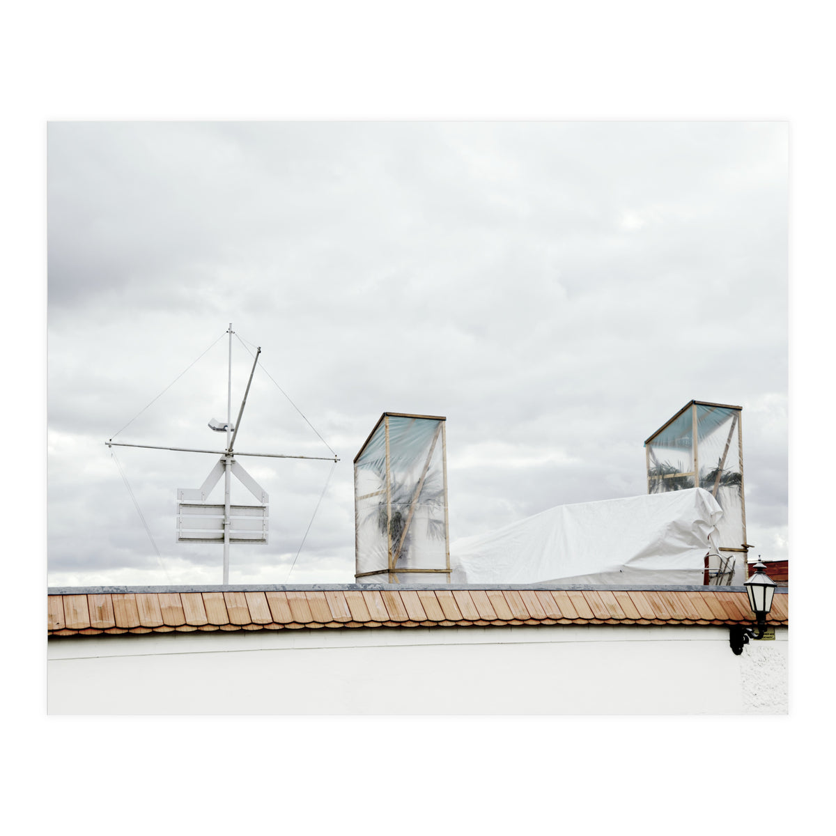 Palm tree waiting for summer (Print Only)