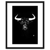 Toro thumbnail