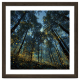 Celestial Forest Canopy with Swirling Golden Fireflies and Deep Twilight Blue Sky Digital Art thumbnail