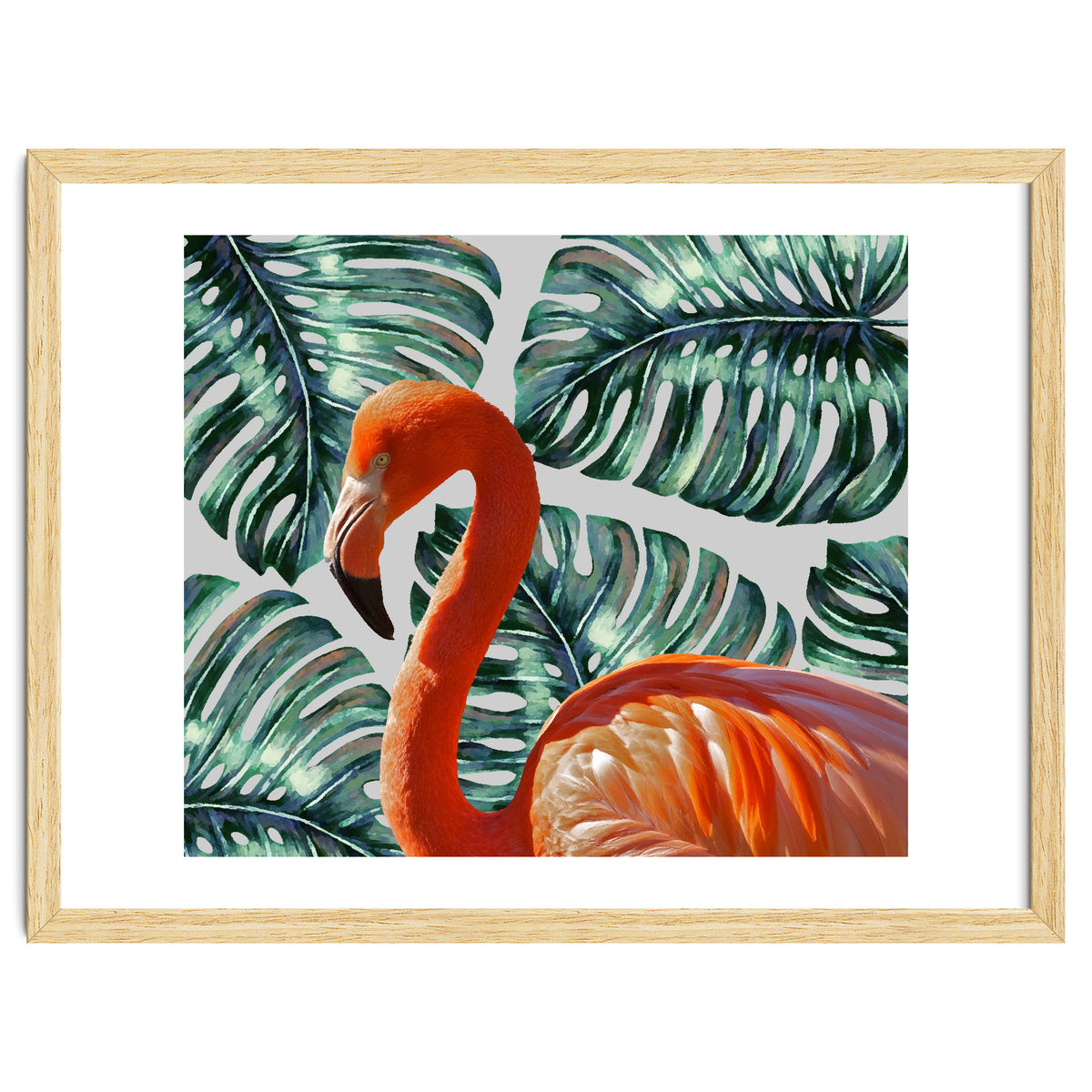 Flamingo Self Portrait