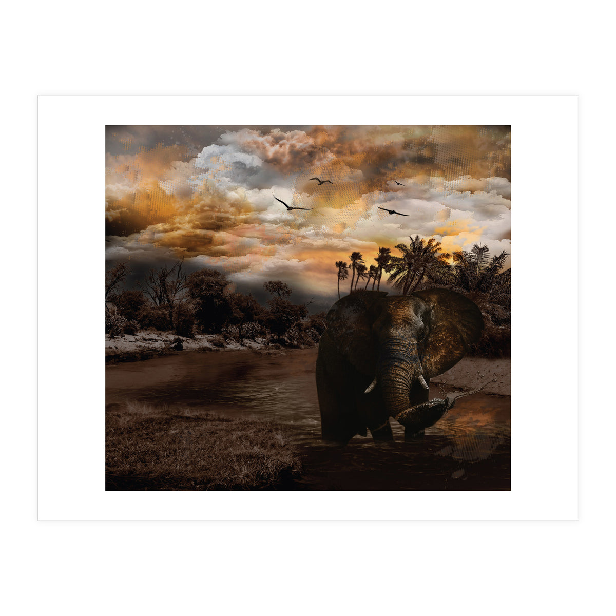 Elephant Scenic Golden Sunset African Wildlife Landscape (Print Only)