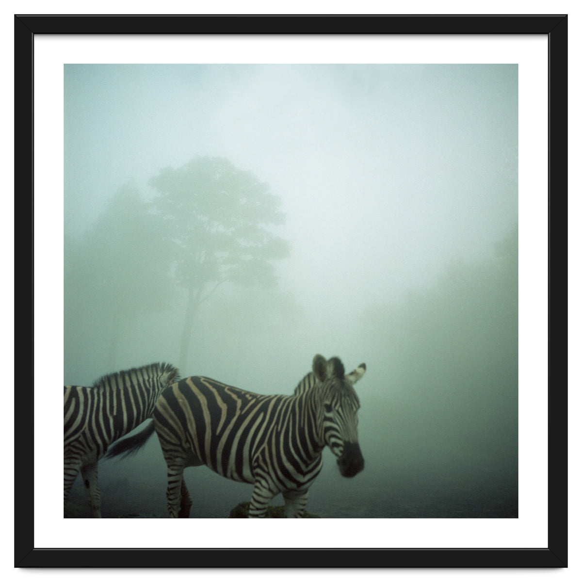 Silence of breath - 16