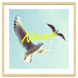 Never Settle thumbnail
