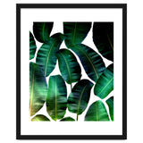 Cosmic Banana Leaves thumbnail