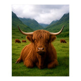 Highland Cow in Scotland (Print Only) thumbnail