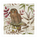 Autumn Owl (Print Only) thumbnail