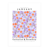 Carnations And Snowdrop January Birth Flower Floral Print (Print Only) thumbnail