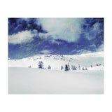 Serenity (Print Only) thumbnail
