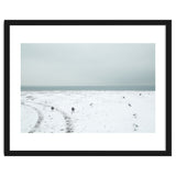 Seagulls in the winter snow beach thumbnail