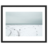 Seagulls in the winter snow beach