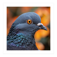 Close Up Of A Pigeon's Head And Neck (Print Only)