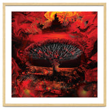 Socotra Dragon Blood tree thumbnail