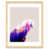 Macaw thumbnail