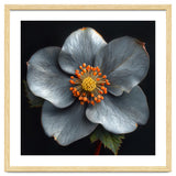 Hellebore | Silver Magic thumbnail
