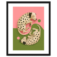 Yin And Yang Dalmatians