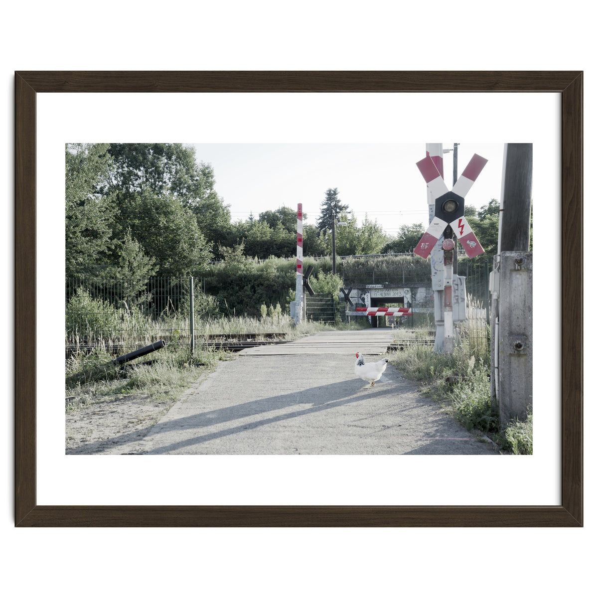 A chicken crossing a railroad