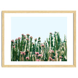 Blush Cactus #society6 #decor #buyart thumbnail