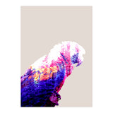Macaw (Print Only) thumbnail