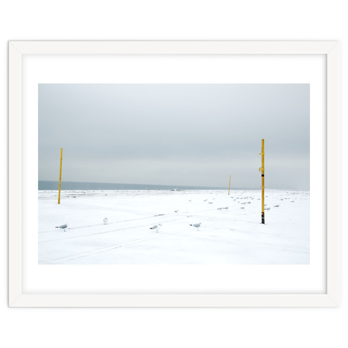 Seagulls in between the volleyball poles in winter snow beach