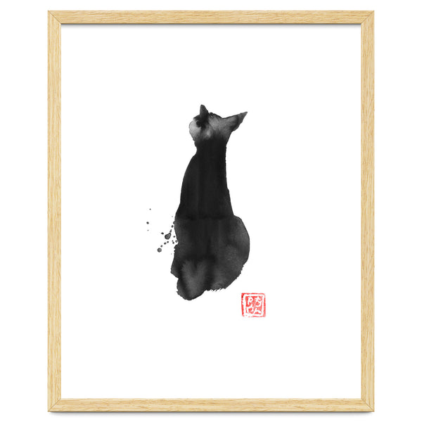Cat Back