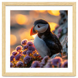 Puffin Bird Amidst Purple Flowers Golden Hour thumbnail
