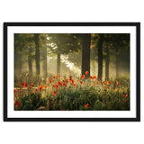 The poppy forest thumbnail