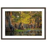 Heron in the swamps thumbnail