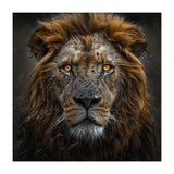 Majestic Lion With Glowing Eyes Close Up Portrait (Print Only) thumbnail