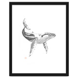 Whale thumbnail