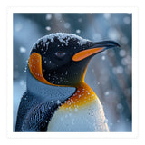 King Penguin Close Up In Snowy Environment (Print Only) thumbnail
