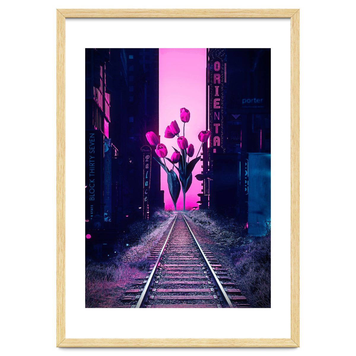 red tulips in the middle of the city