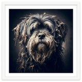 Old Dog 03 thumbnail