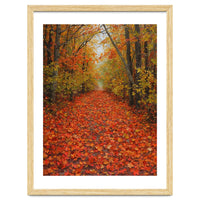 Lush Autumn Forest Path Covered