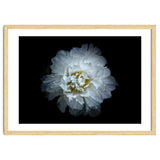 Backyard Flowers No 90 Color Version thumbnail