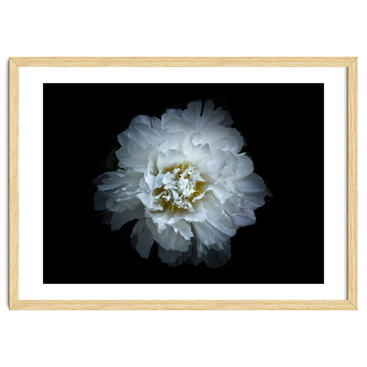 Backyard Flowers No 90 Color Version