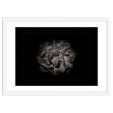 Backyard Flowers In Black And White No 81 with Border thumbnail