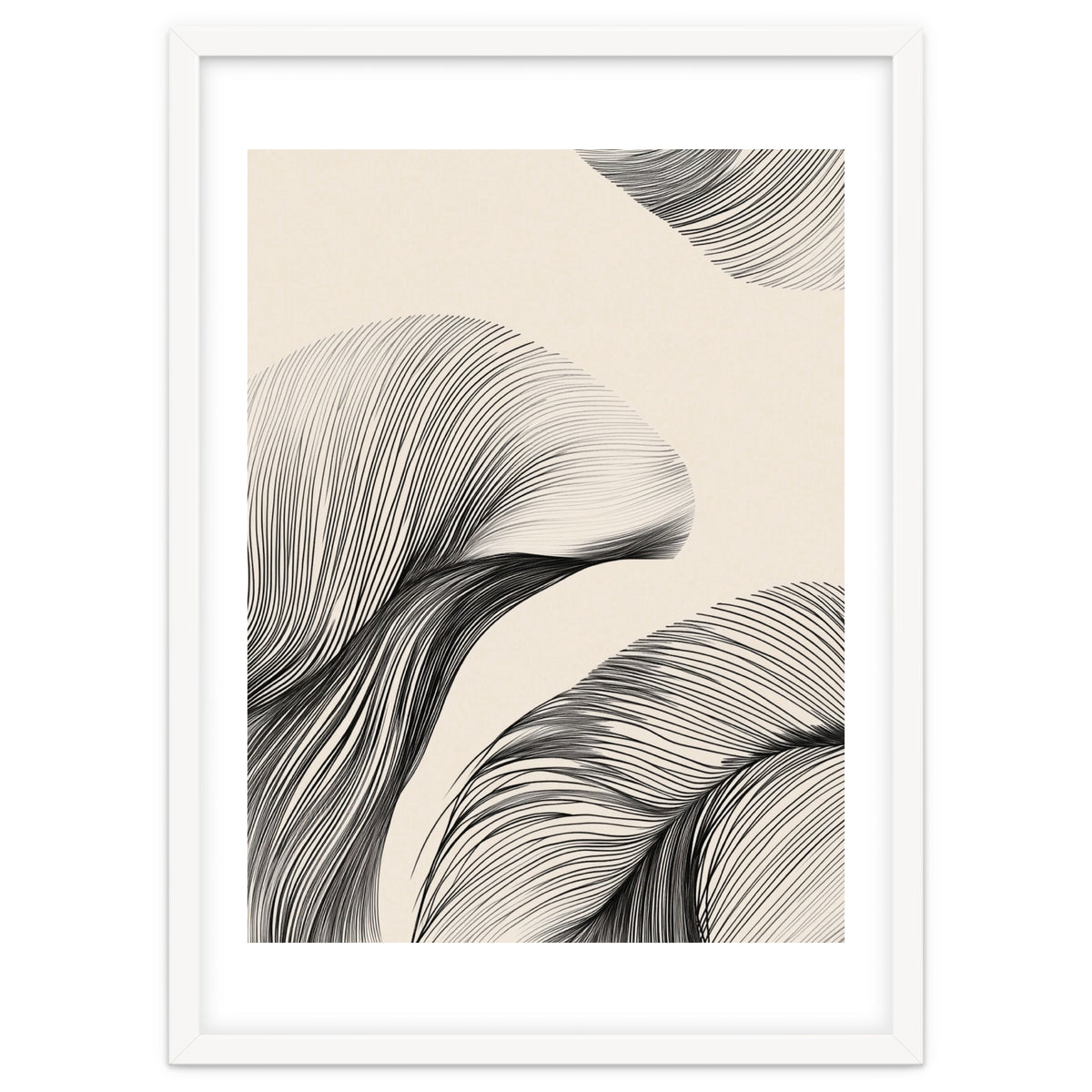 Black And White Flowing Lines Organic Shapes