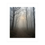 Ethereal Morning Light Breaking Through Dense Forest Fog (Print Only) thumbnail