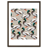 Mallards thumbnail