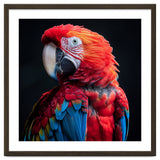 Scarlet Macaw Parrot Detailed Feather Close Up Portrait thumbnail