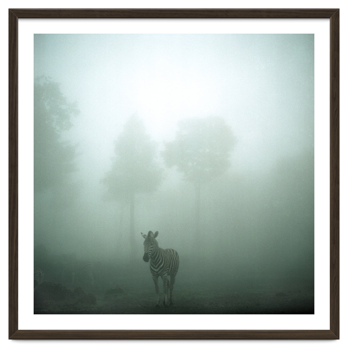 Silence of breath - 01