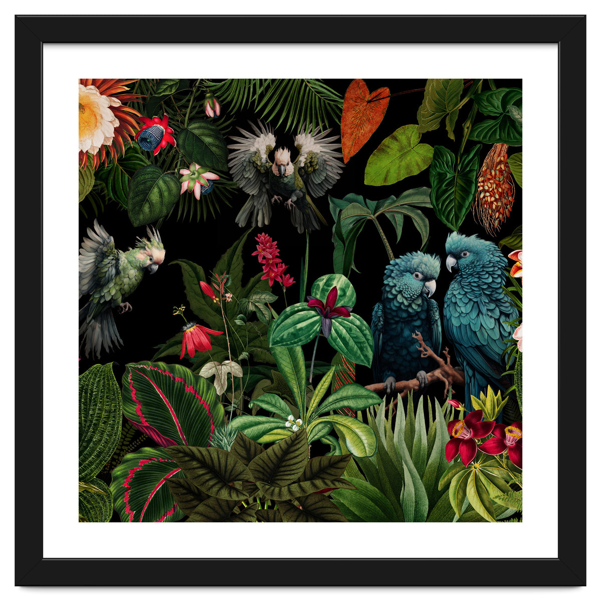 Moody Botanical Midnight Jungle Birds