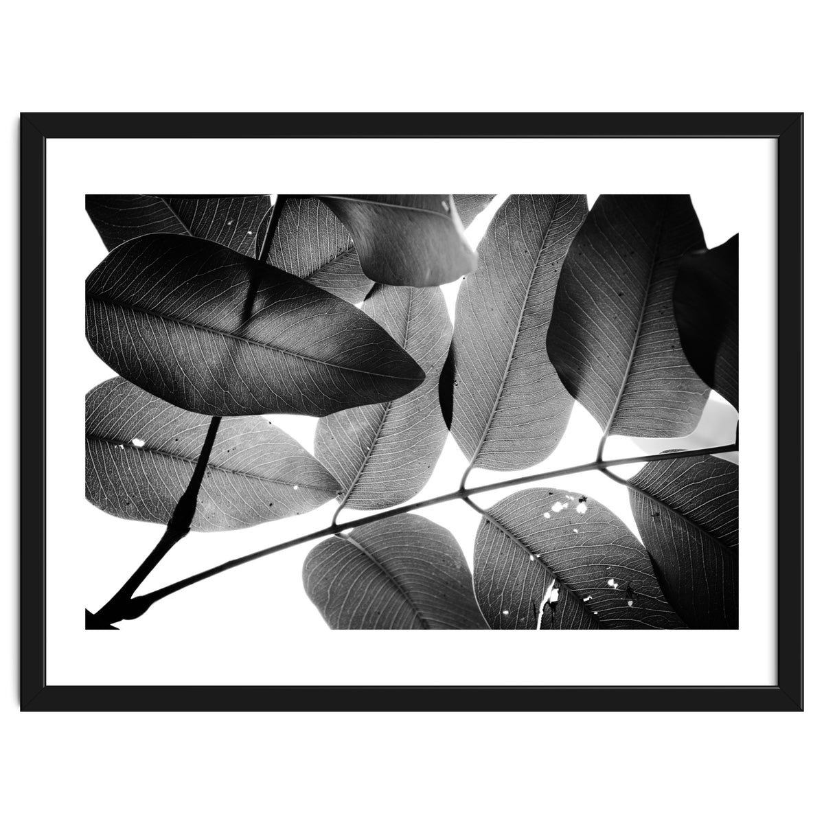 Branches and Leaves, 2016, 3