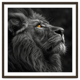 Majestic Lion Face Closeup Golden Eyes Black thumbnail