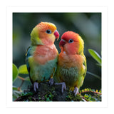 Lovebirds Pair Perched On Mossy Branch Outdoors (Print Only) thumbnail