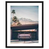 Palm Springs Pink thumbnail