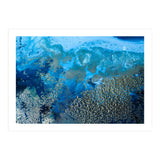 Revitalize (Print Only) thumbnail