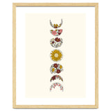 Floral Phases Of The Moon thumbnail