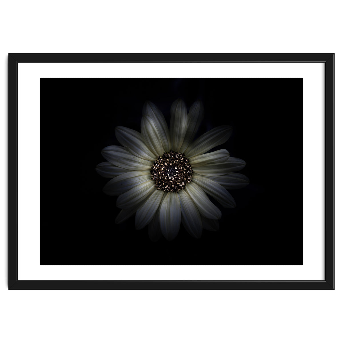 Backyard Flowers No 27 Color Version