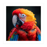 Scarlet Macaw Parrot Portrait Vivid Colors (Print Only) thumbnail